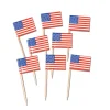 American Flag Toothpicks 2.5" (50 PACK)