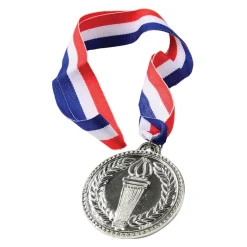 Award Medal On Ribbon - Silver 2
