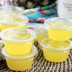 Clear Portion Containers - Jello Shot Cups 2 oz (125 PACK)