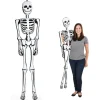 Inflate Skeleton 72" (EACH)