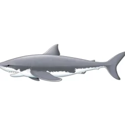 Jointed Shark Cutout 5'11" (EACH)