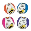 Kickballs - Bee Your Best Assortment (DZ)