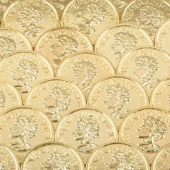 Plastic Gold Coins 1.25" (144 PACK)