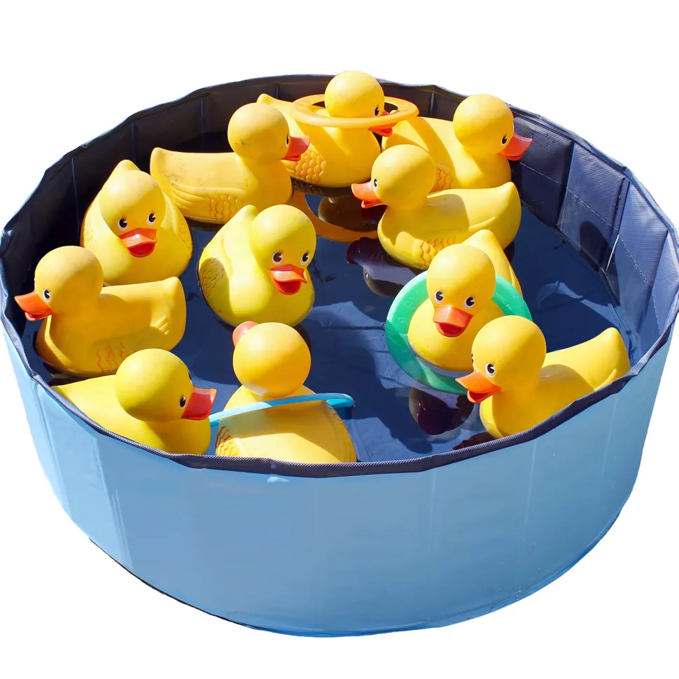 Rental Ducky Duck Ring Toss Game