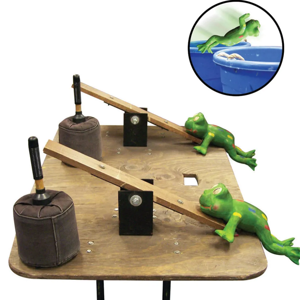 Rental Frog Launch Game