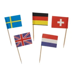 Toothpick Flags - International (144 PACK)